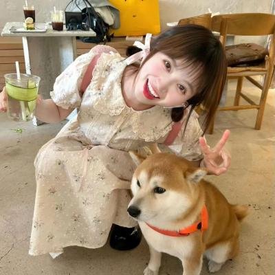 执念如影