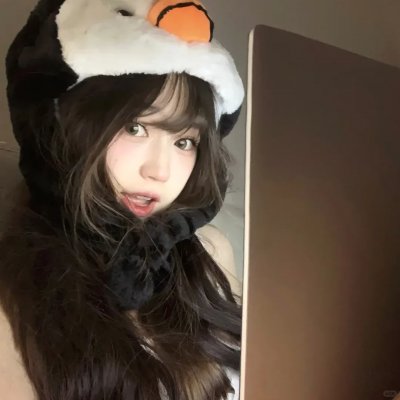 领航人